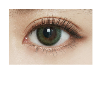 [預訂] FOMOMY 1 day Forest Olive 有色每日抛棄隱形眼鏡｜每盒10片