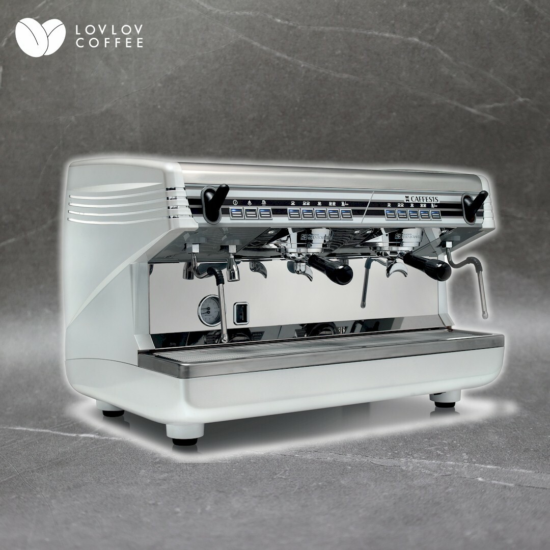 Nuova Simonelli CAFFESIS 商用雙頭咖啡機