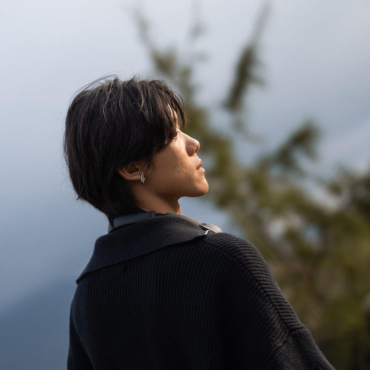 【BLUZ】925s 純銀複弧流線耳針