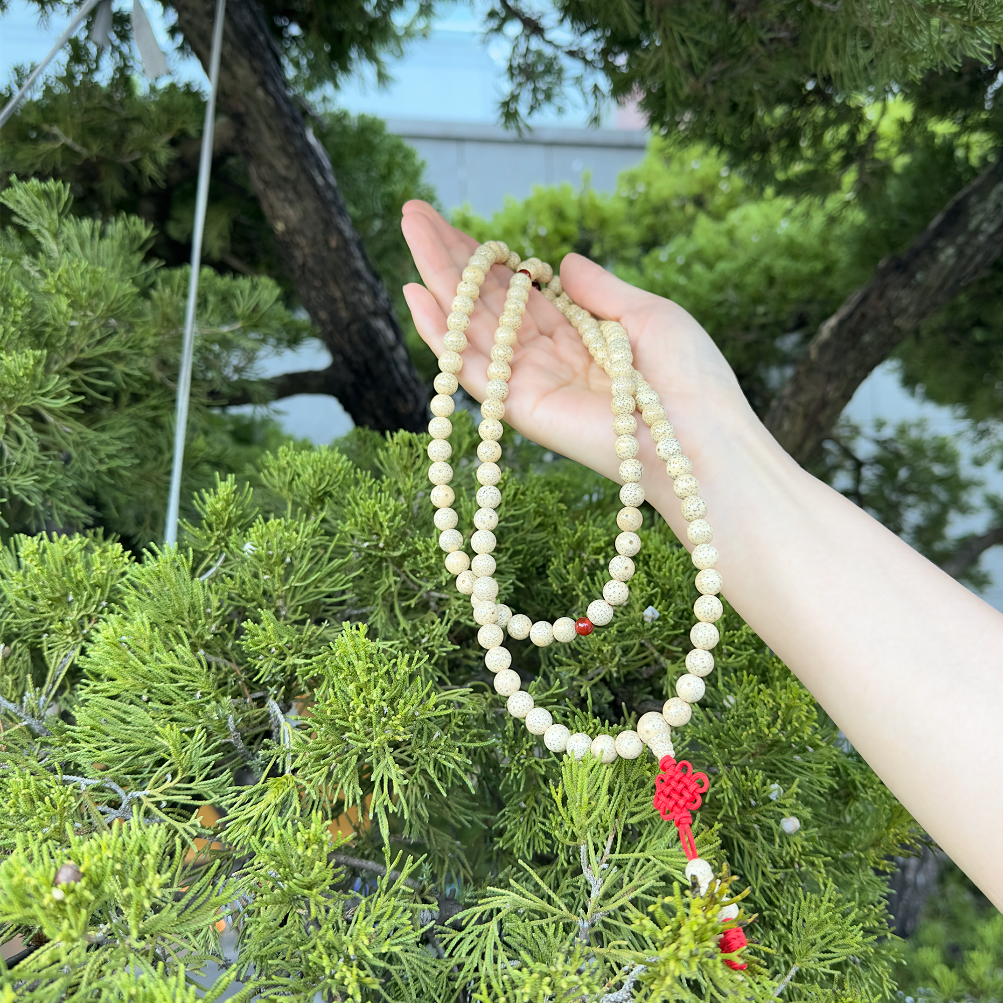 original.png?1674790203