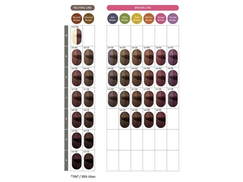 MILBON 日本 ORDEVE Beaute 白髮專用染膏套裝（含雙氧奶）