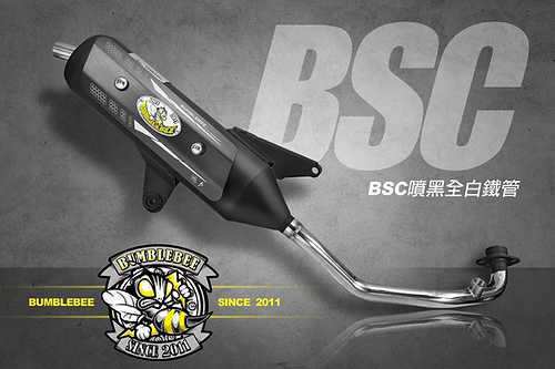 黃蜂BSC噴黑全白鐵管