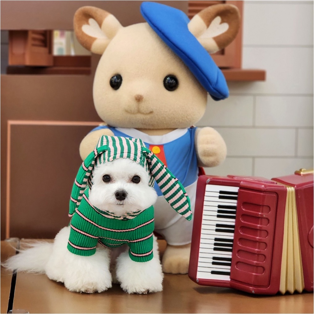 Jella 兔兔小熊連帽衫