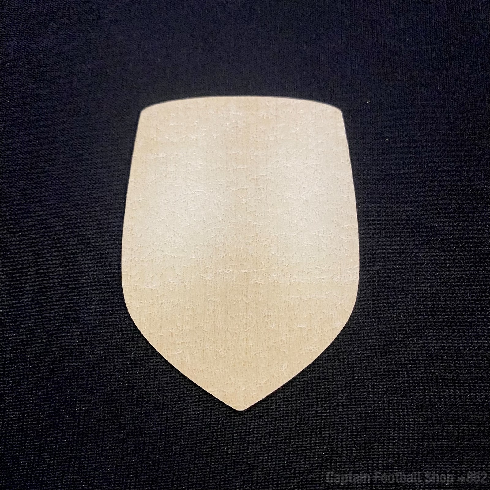 Official 2015 FIFA World Cup Women Champions patch