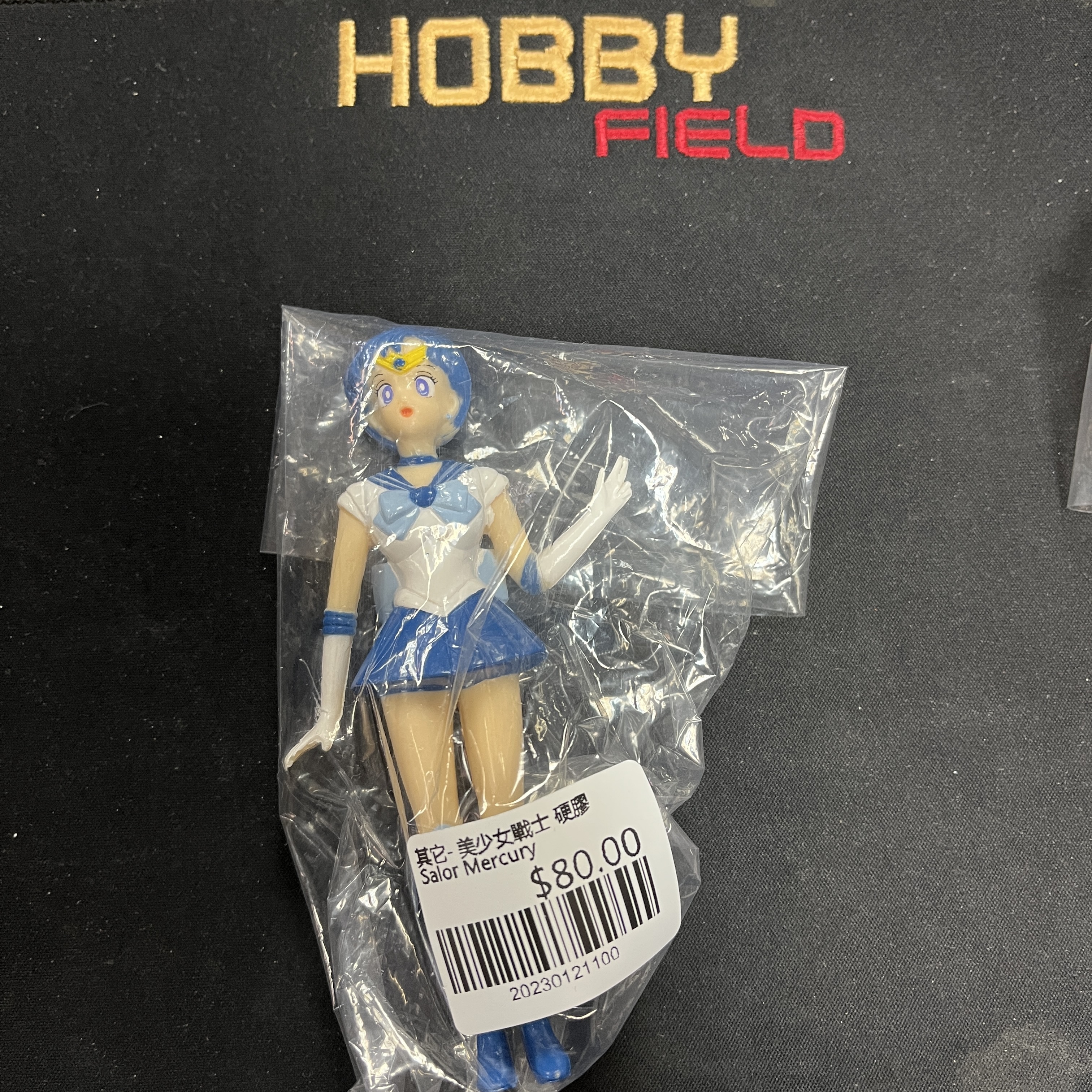 其它- 美少女戰士 硬膠 Salor Mercury