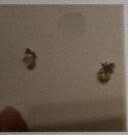 [S] NYU.NYU PINEAPPLE EAR STUD WITH 925 SILVER,SILVER, SNN138 (SNN138)