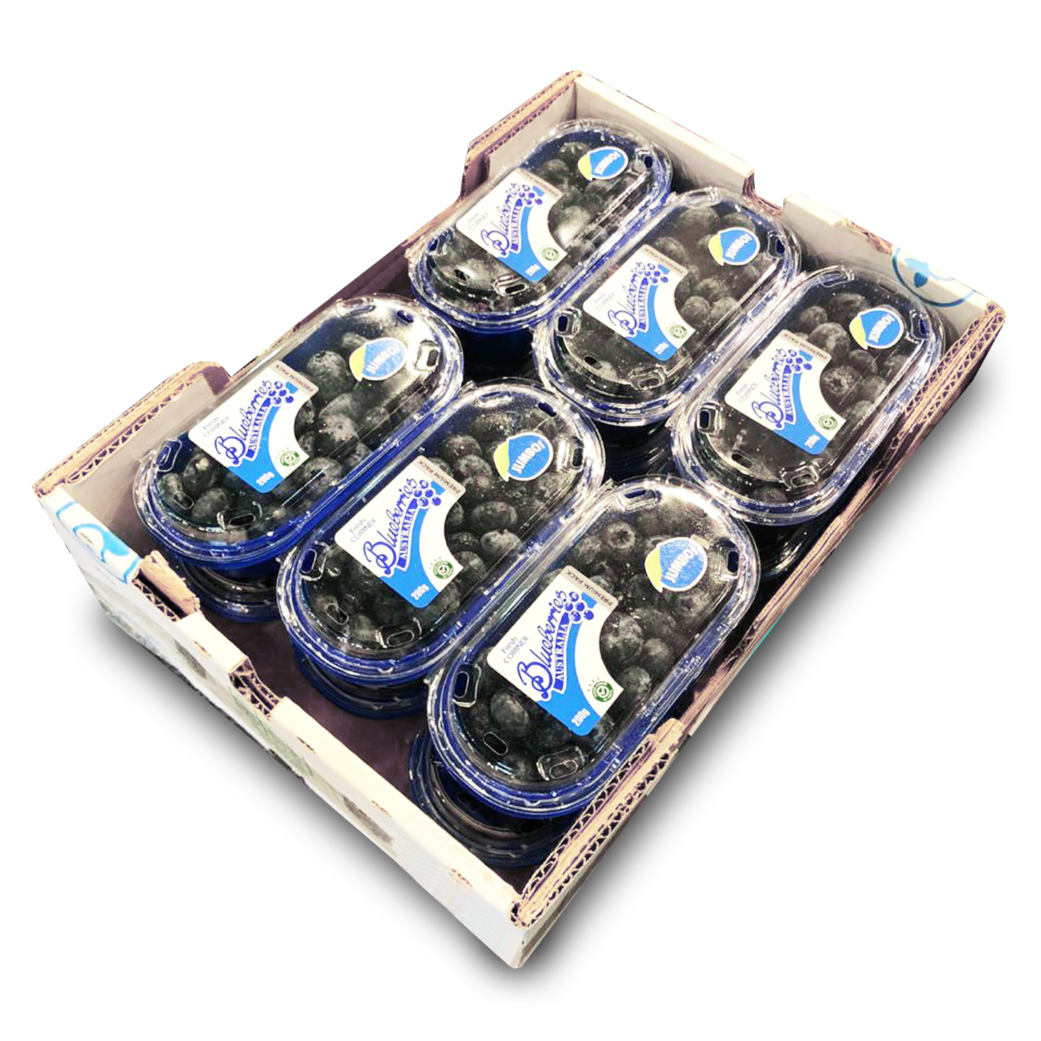 Premium Australian Jumbo Blueberries [Whole Box | 12 Packs]