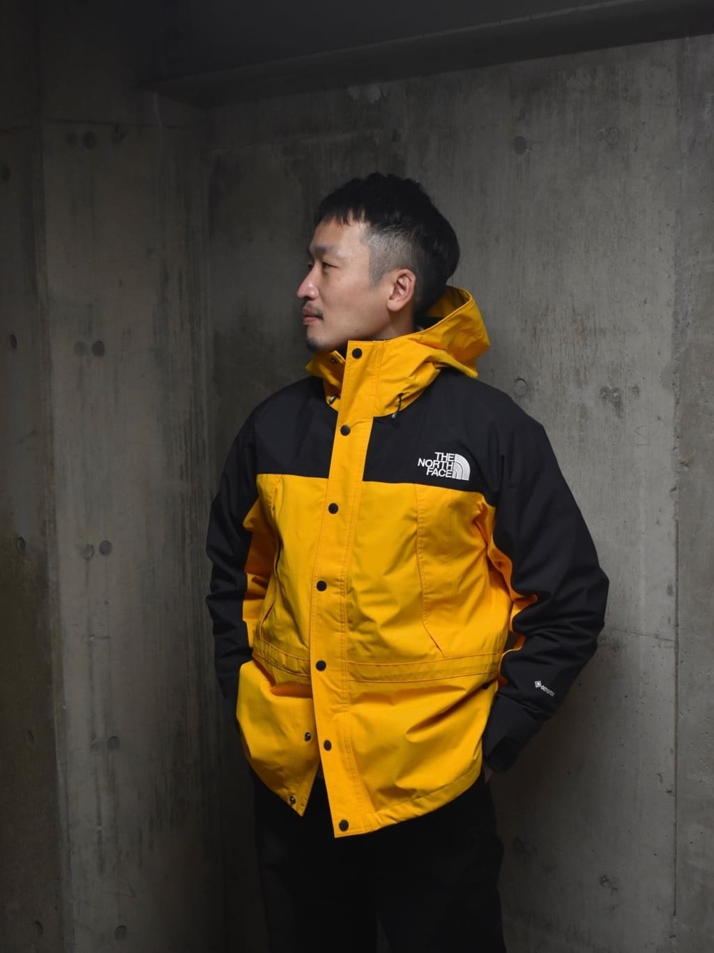 日本TNF Goretex Mountain Light Jacket (2023新款)