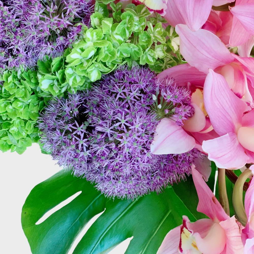 Stunning Fuchsia, Rosa David Austin / Premium Rose, Ecuador, Dia: 35-45cm (3 Sizes), Wrapped in Bouquet Kraft Paper + Organza with Ribbon