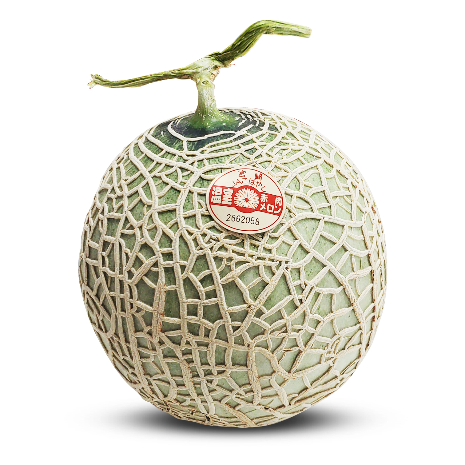 日本宮崎溫室赤肉蜜瓜 [1個]