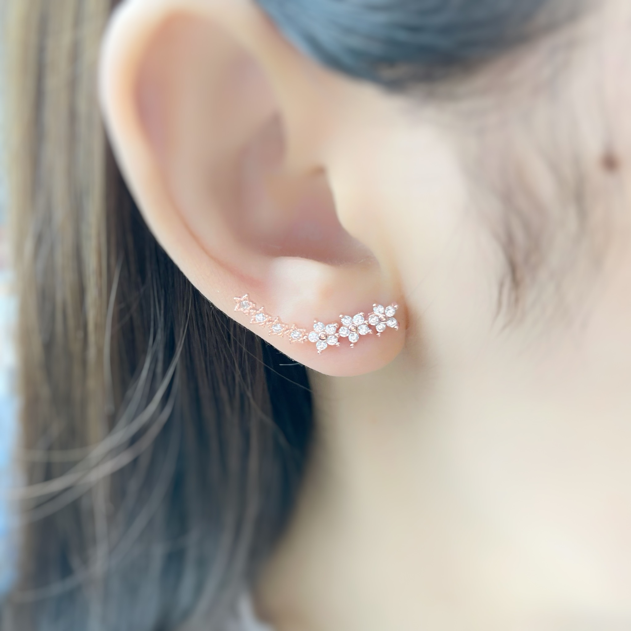 | 925純銀・白金 · 玫瑰金| 絢爛之界耳環（銀/玫瑰金） | EA0621 |