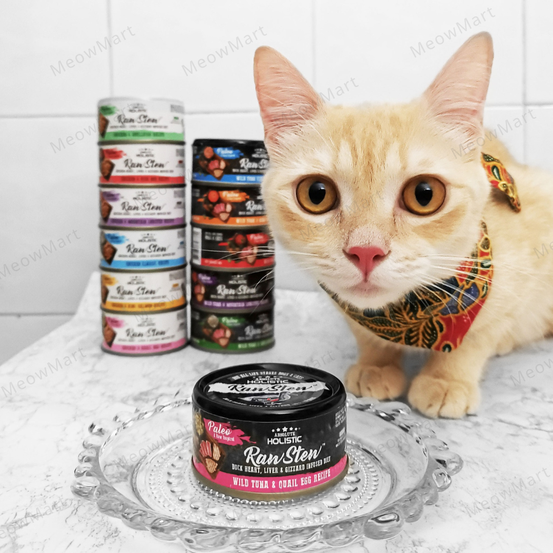 Absolute Holistic RawStew 頂級純天然無穀物鮮肉主食罐