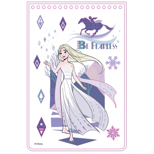 冰雪奇緣 亮彩燙金畫 DS015A