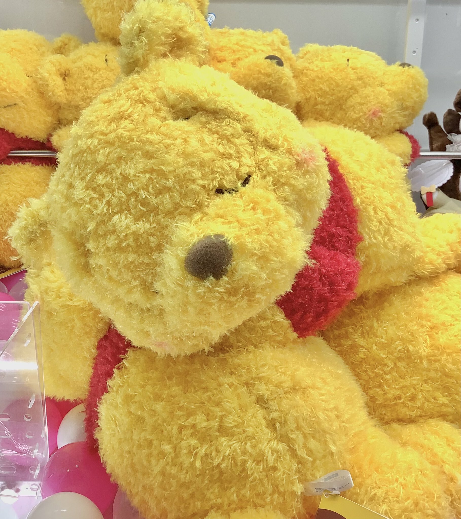 【現貨】日本SEGA 景品 小熊維尼害羞閉眼趴趴 絨毛玩偶 娃娃