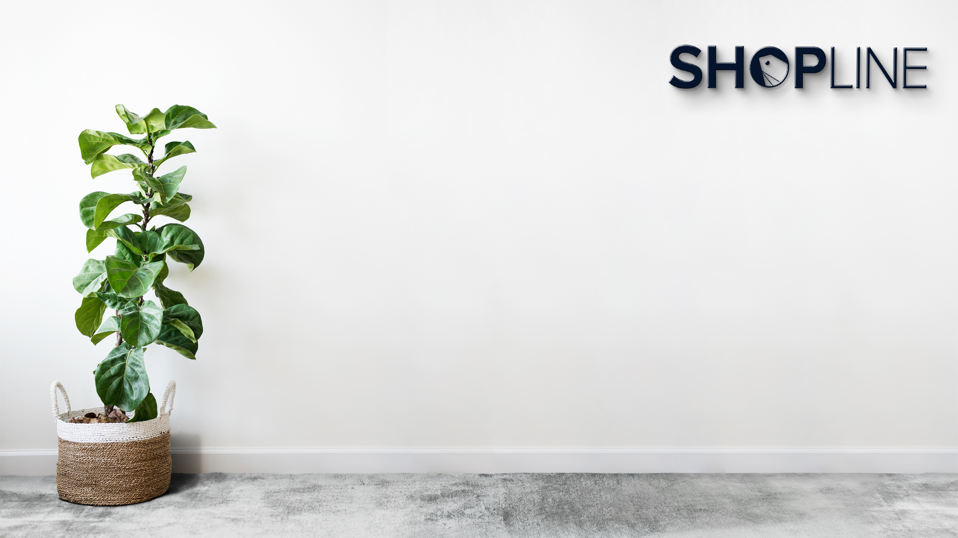 商品＿SC關鍵字創建