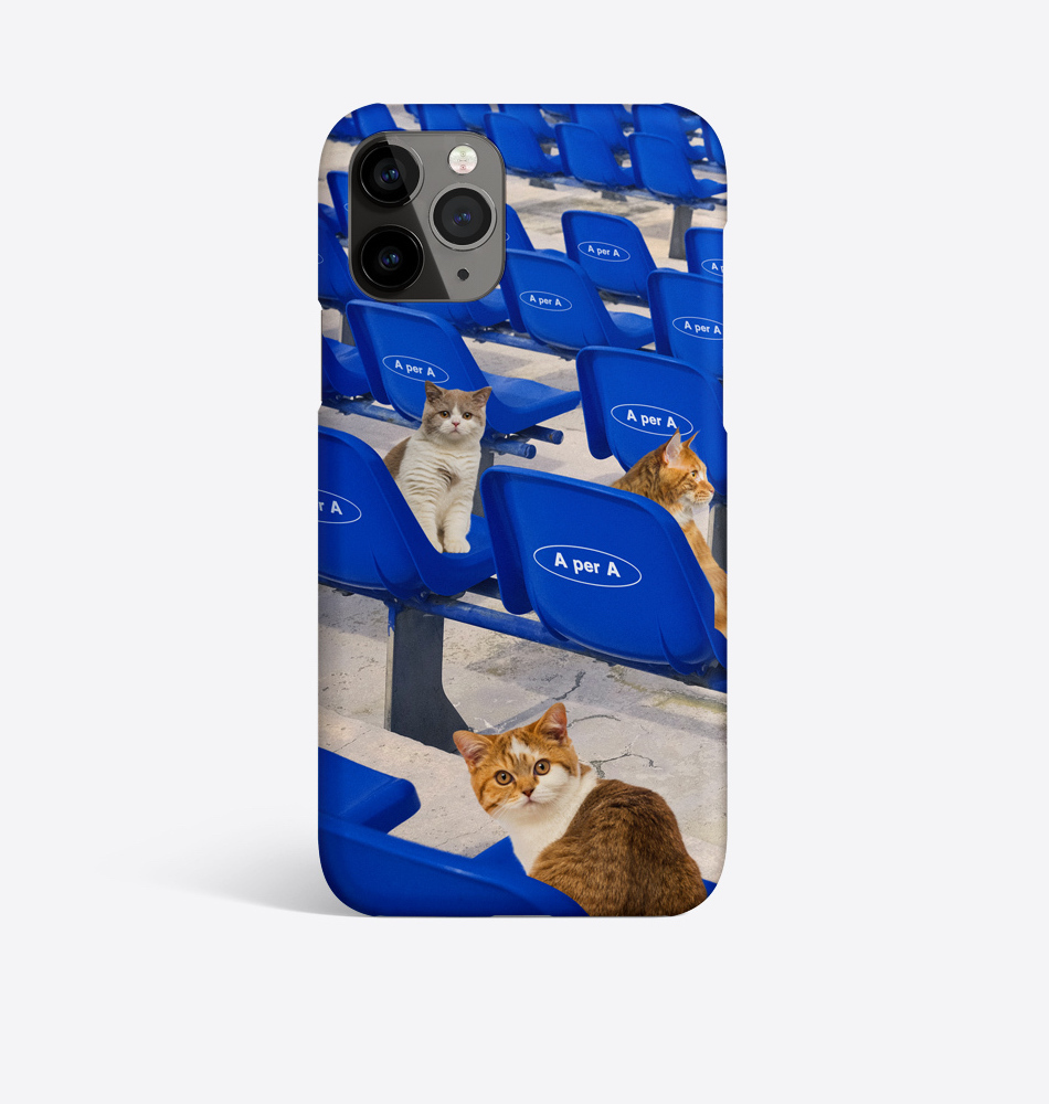 A PER A - AD APA Blue Stand 3 Cat  硬殼