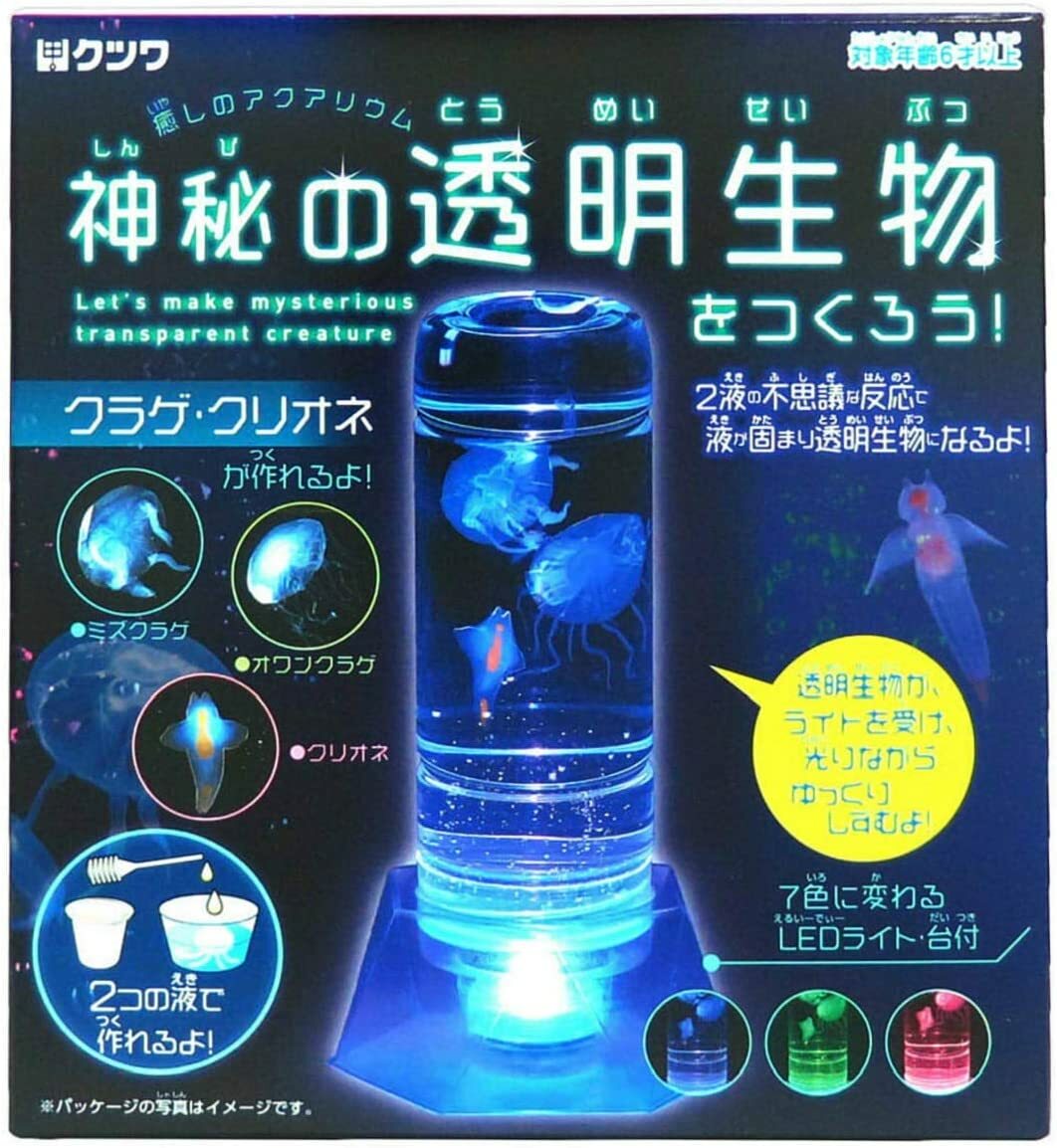 神秘的透明生物