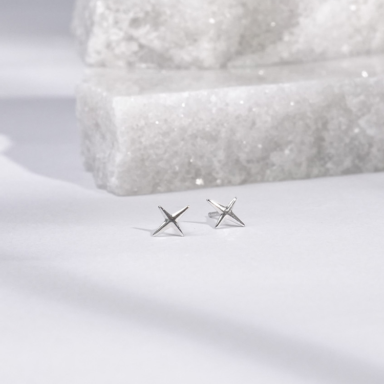E146 閃耀星光| 純銀耳釘
