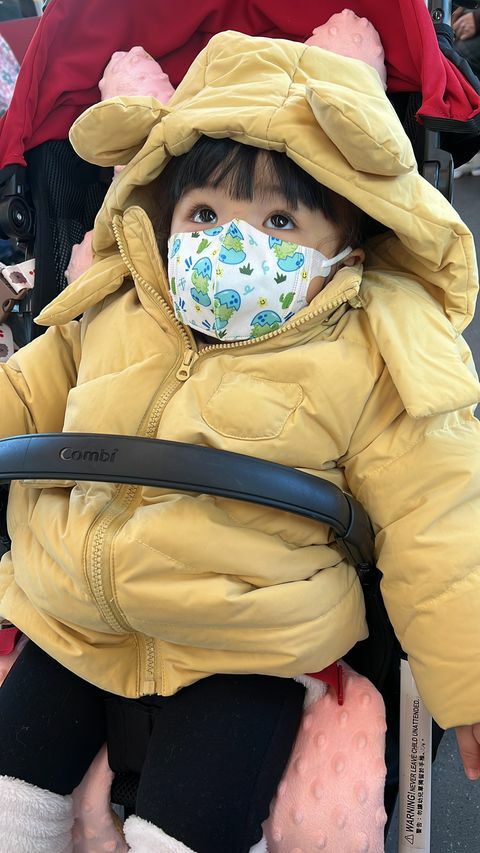 【蘭徹斯特奇遇記】Lanchester 3D立體彈力耳繩卡通口罩(Little Dinasaur) 幼兒 十片獨立包裝