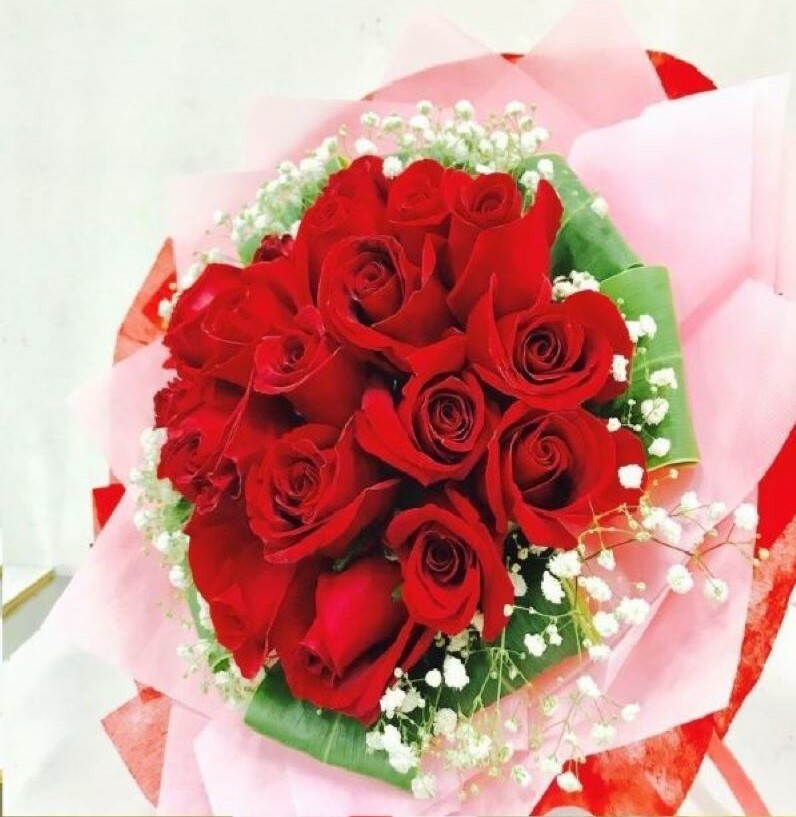 HHB19B*****FREE DELIVERY