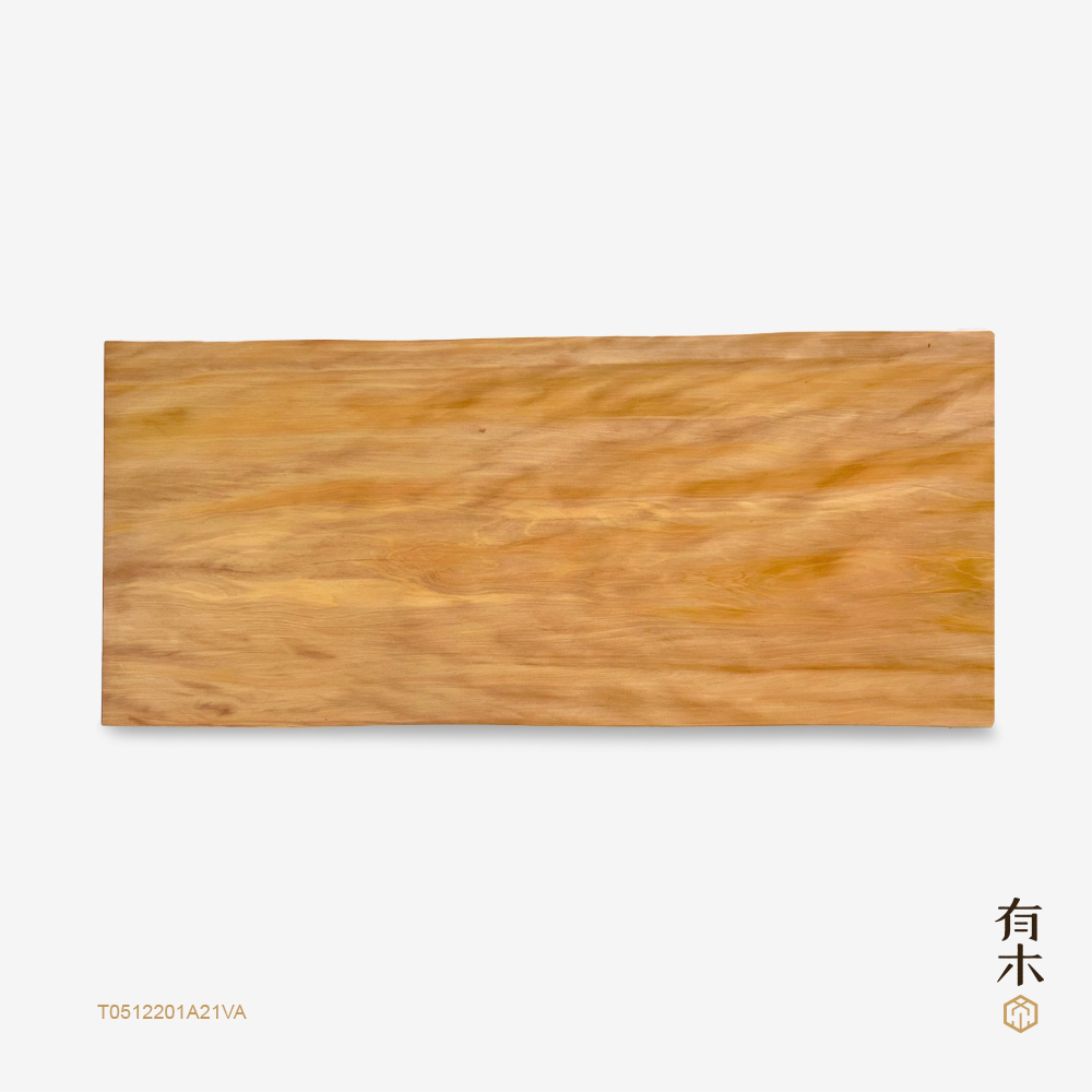 此塊索羅門檜木（南洋檜木、貝殼杉）一枚板帶有美麗而明顯的閃花光澤紋理，關於這片索羅門檜木原木桌板的日後去向，歡迎參考這支影片：帶全家人來看新家! 用實木打造夢幻餐廳空間。