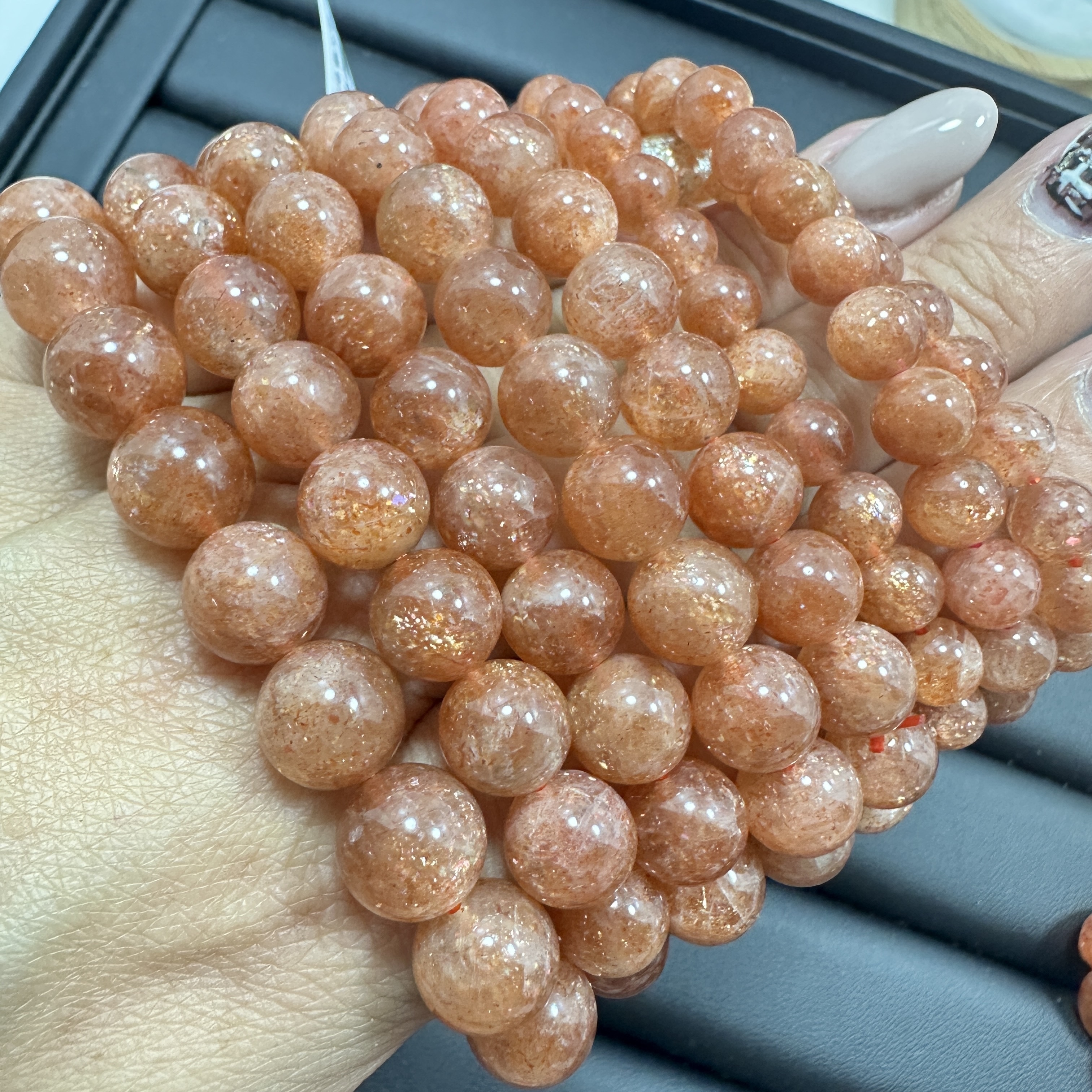 金太陽