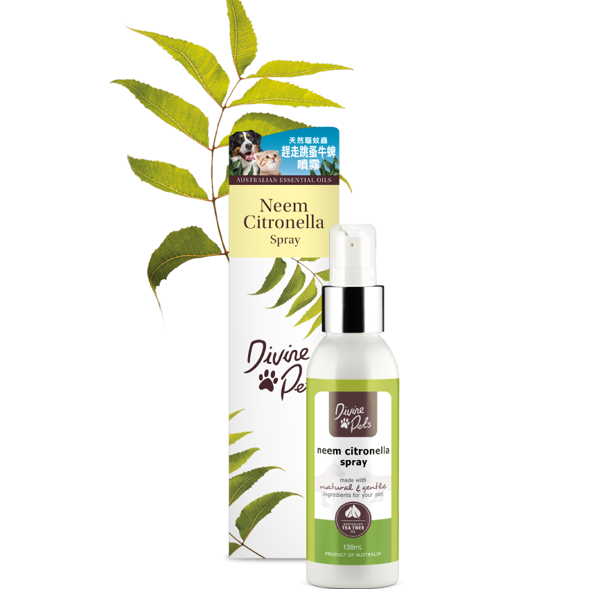 Divine Pets 趕走跳蚤牛蜱噴霧 130ml