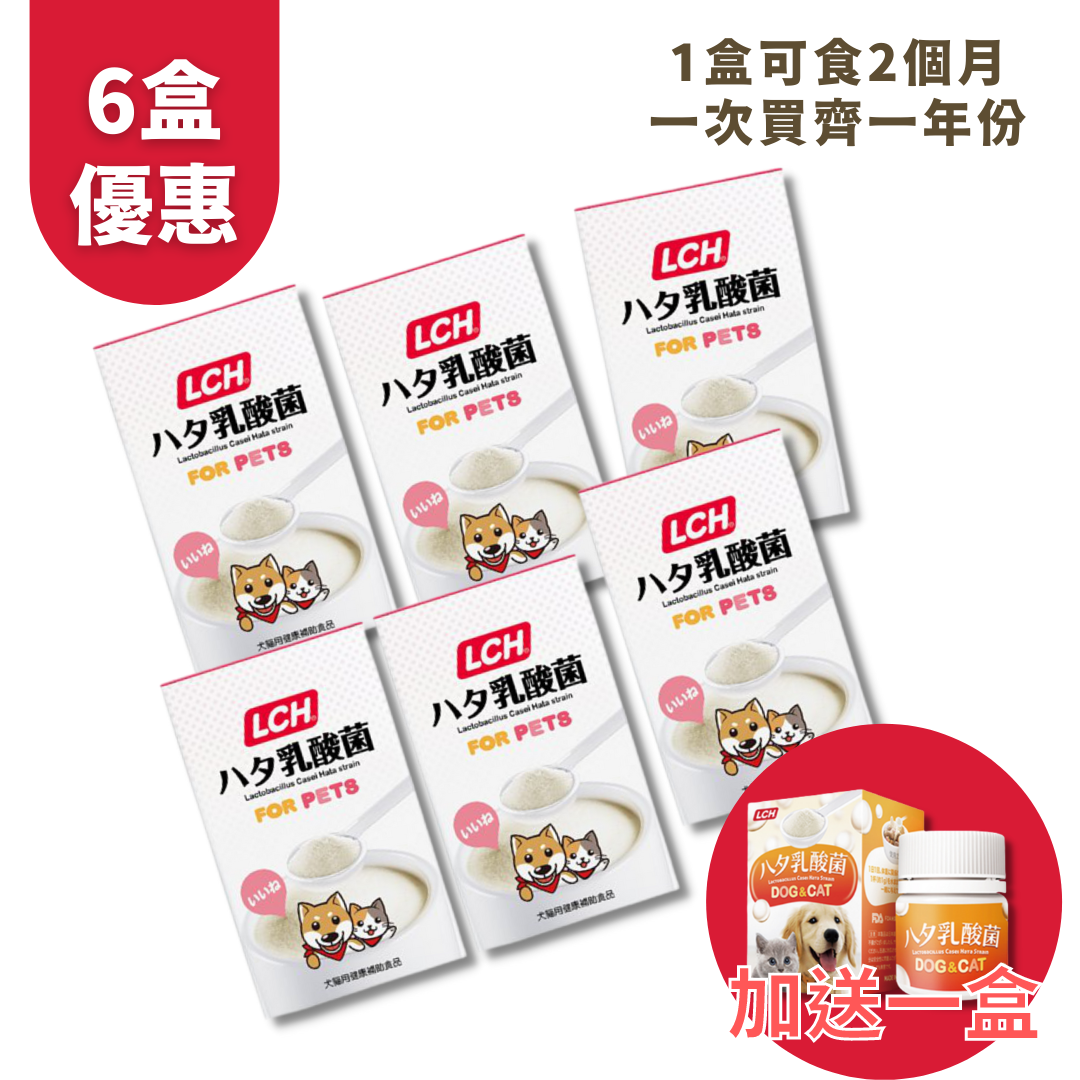新品未使用 ハタ乳酸菌　FOR PETS 60g ×5個 楽天市場】ペット用 ハタ乳酸菌 FOR PETS + PG 60g×5個セット