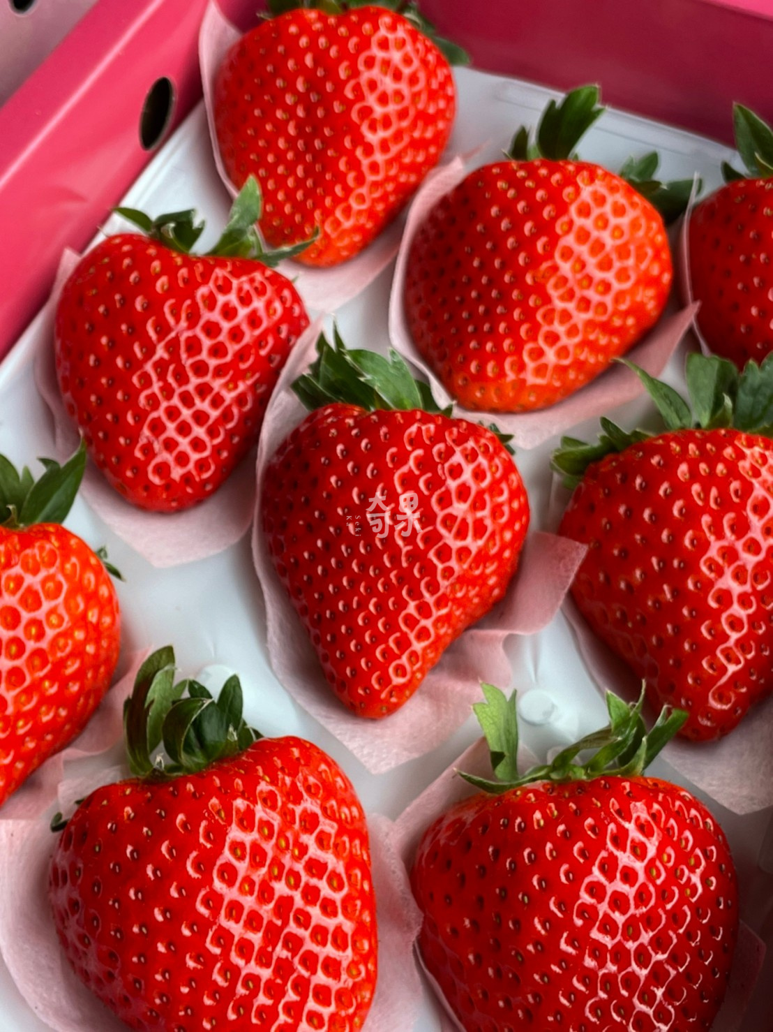 奇果｜岐阜 美濃娘草莓