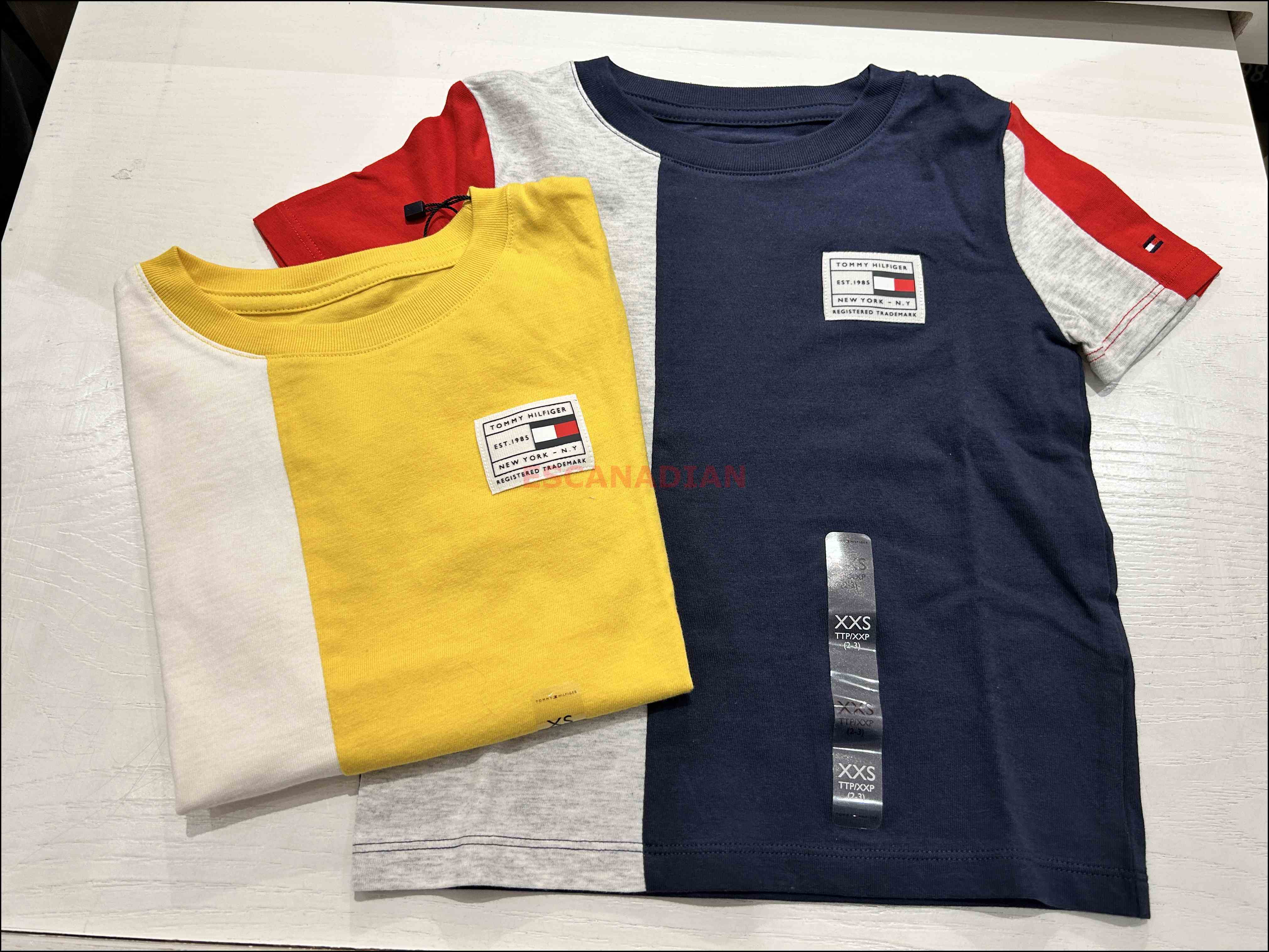 TOMMY 男大童 拚色 短TEE (2色)