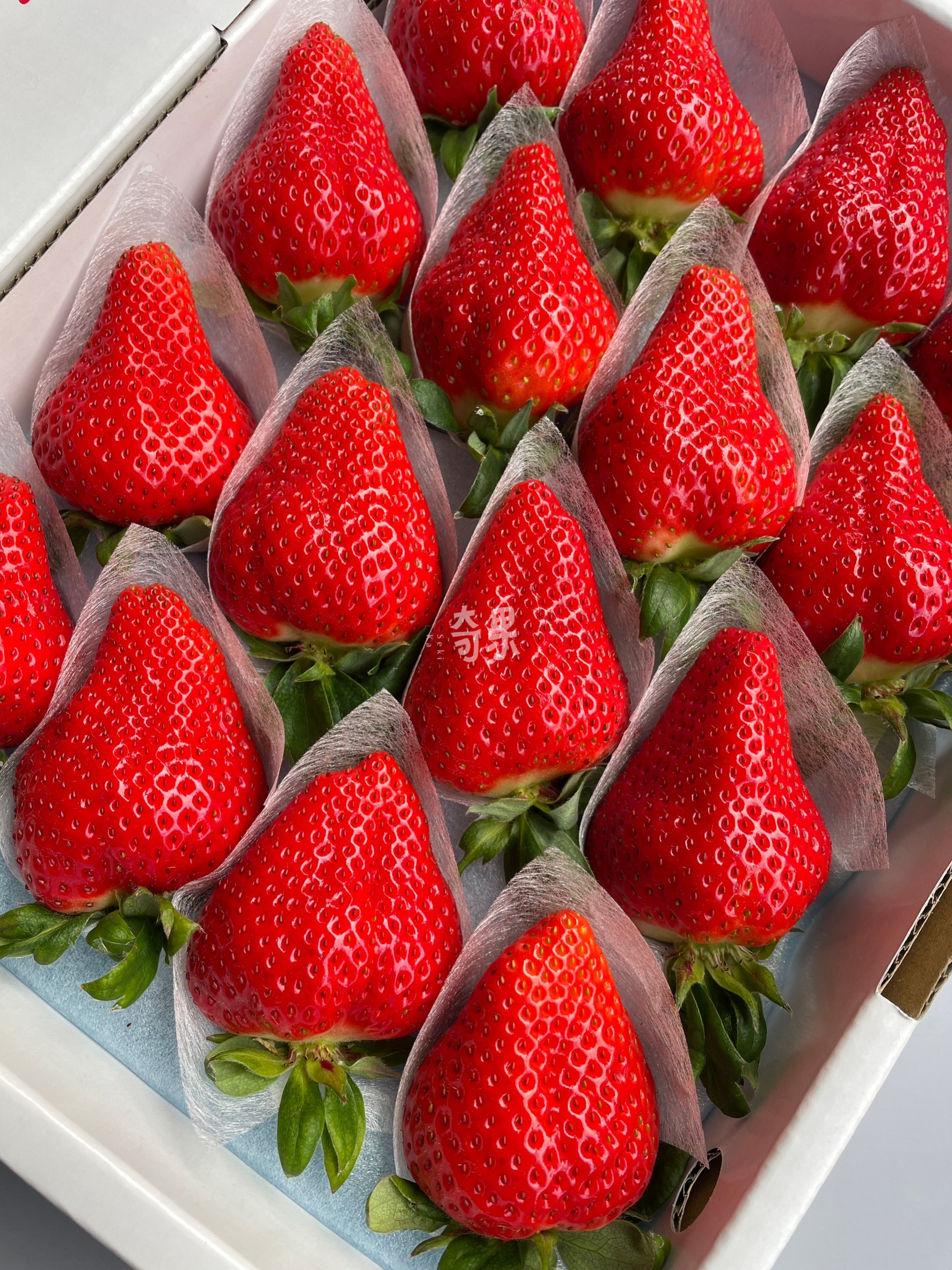 德島 櫻花水蜜桃草莓