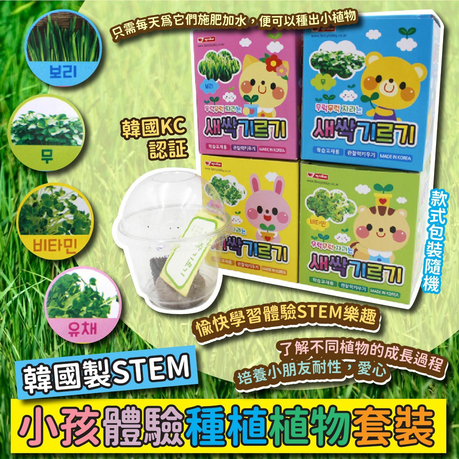 韓國製STEM小孩體驗種植植物套裝