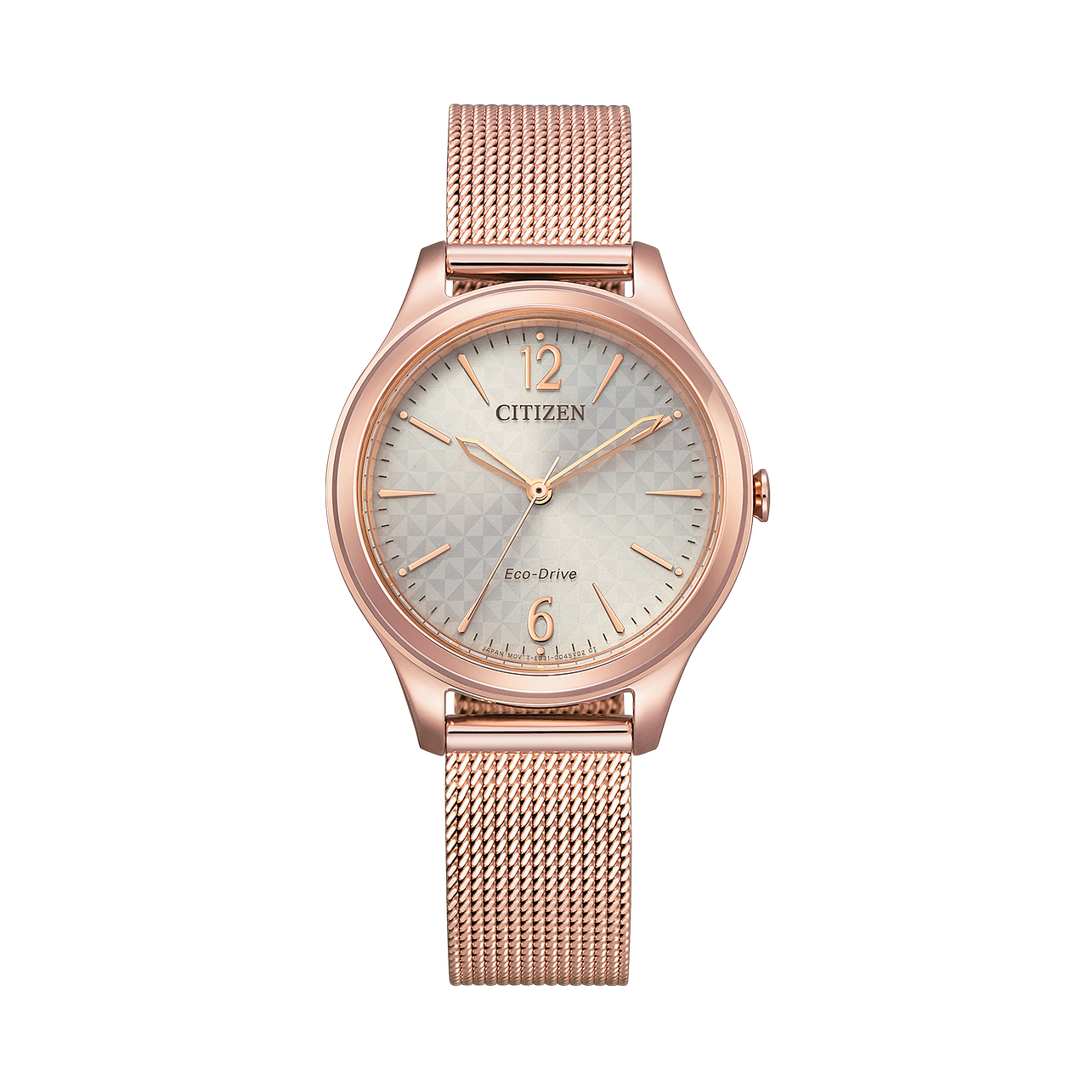 Citizen EM0508-80X Eco-Drive 光動能 女裝鋼錶