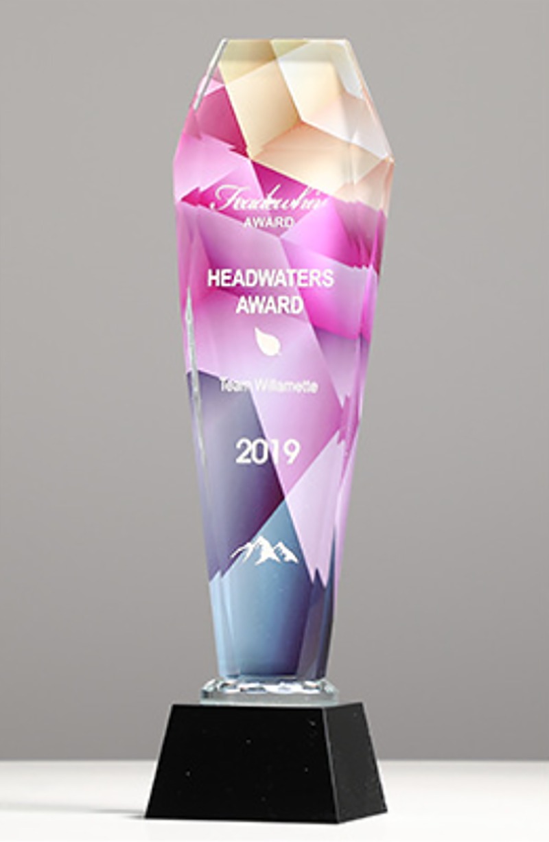 破盤價 榮譽彩印頒獎牌製作水晶-A13款 升級送激光刻字 A13