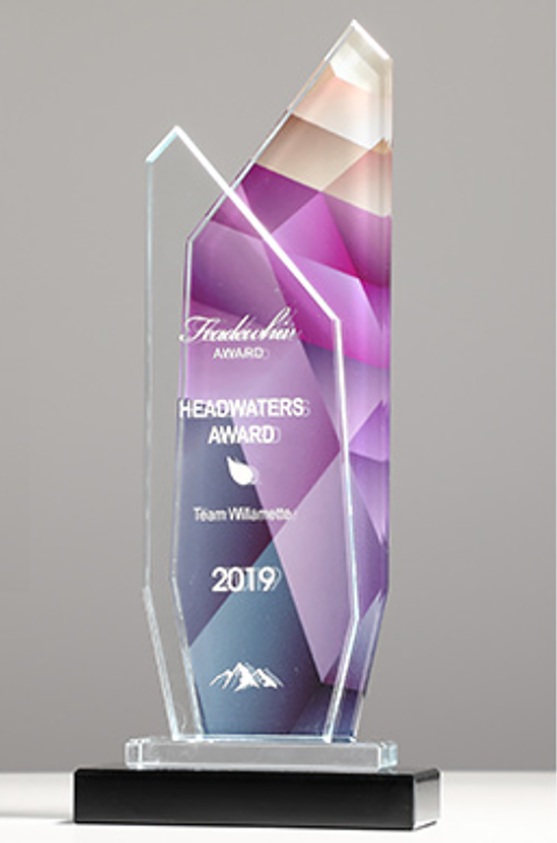 破盤價 榮譽彩印頒獎牌製作水晶-A15款 升級送激光刻字 A15