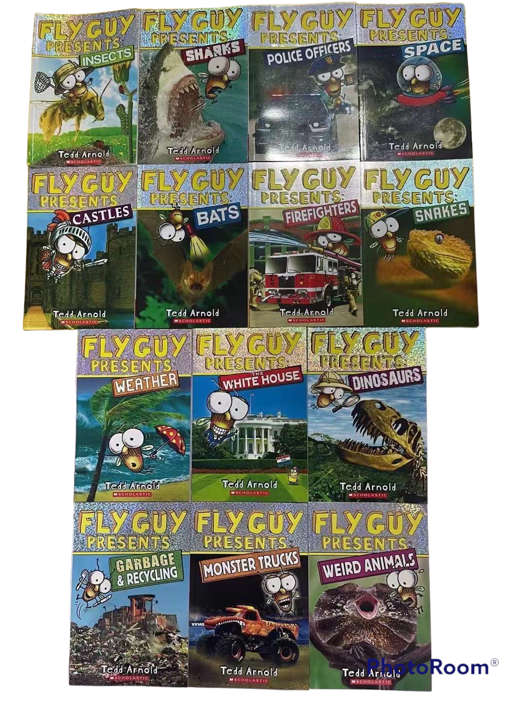Scholastic Fly guy Present  Science reader 14 books collection