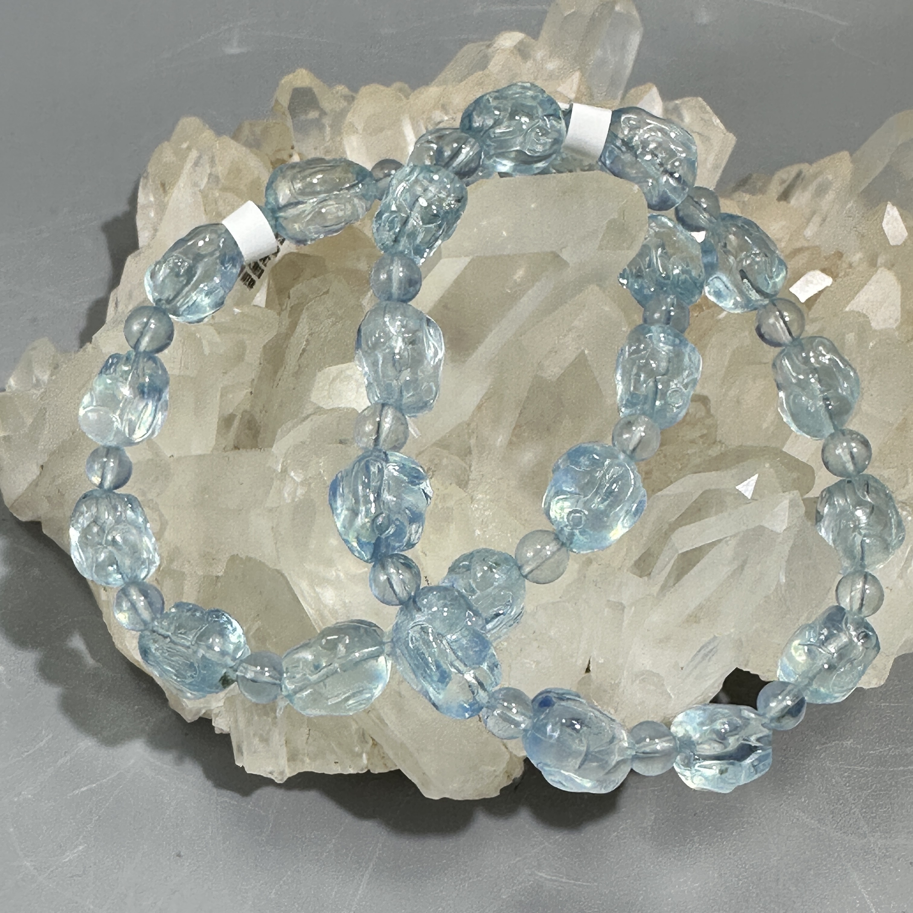 海藍寶兔子