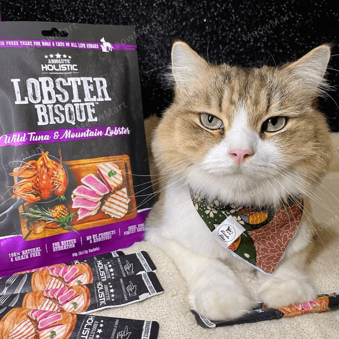 Absolute Holistic Bisque 純天然無穀物濃湯肉泥