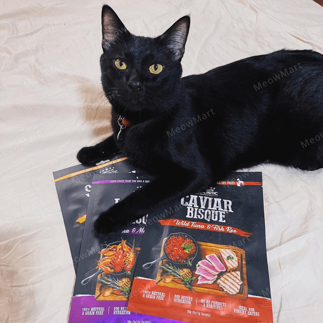 Absolute Holistic Bisque 純天然無穀物濃湯肉泥