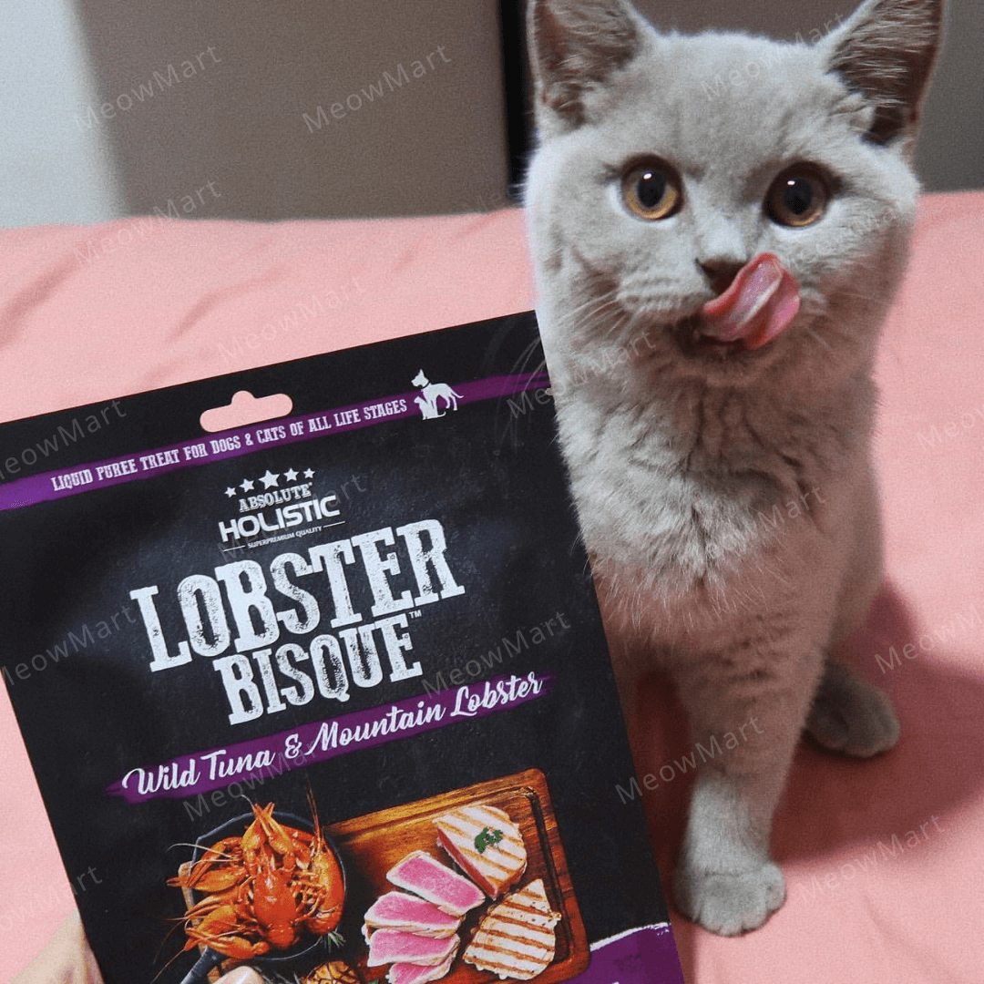 Absolute Holistic Bisque 純天然無穀物濃湯肉泥