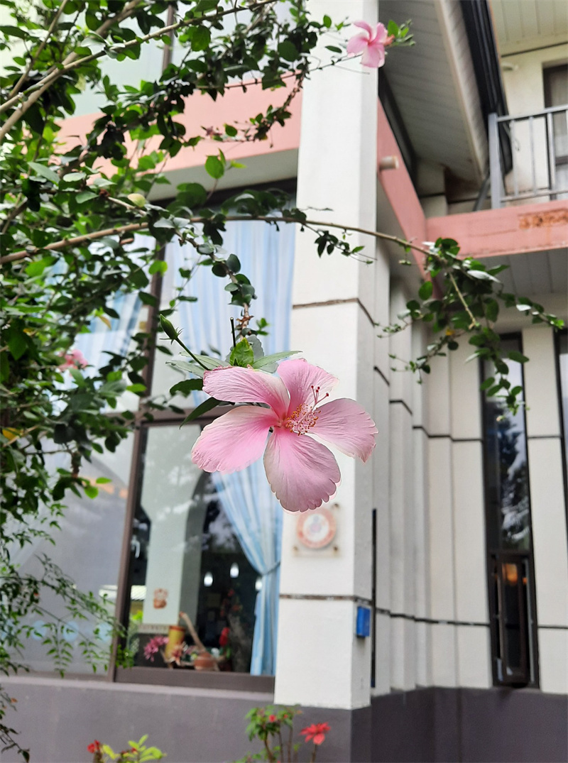 茴香戀戀溫泉會館 風景