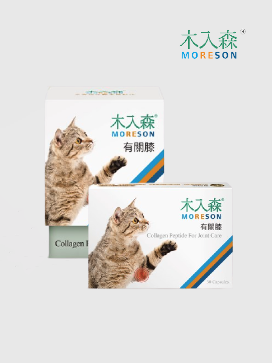 【木入森Moreson】貓咪有關膝｜全方位關節保健