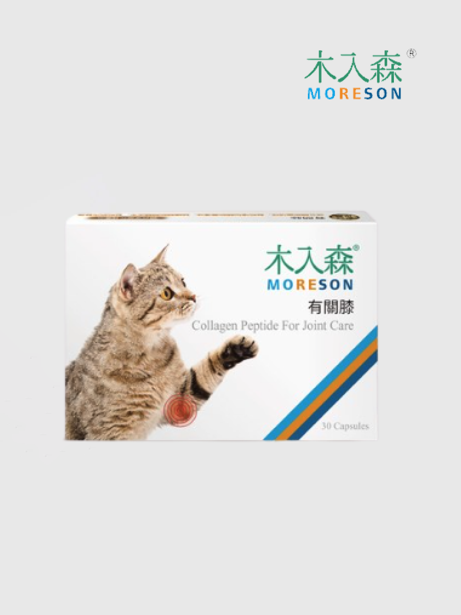 【木入森Moreson】貓咪有關膝｜全方位關節保健