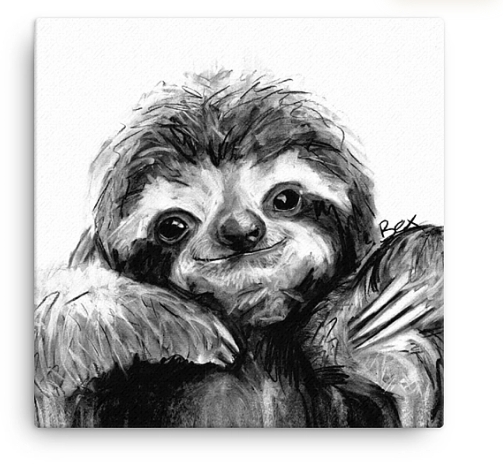 WRAPTIOUS｜掛畫｜  樹懶