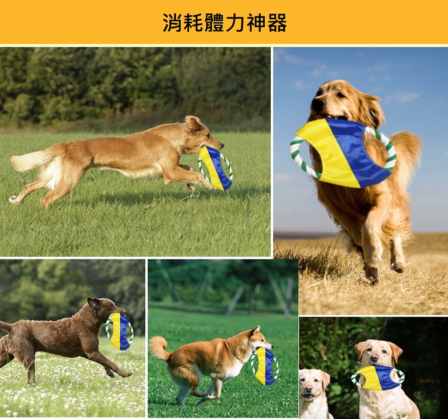 寵物棉繩飛盤玩具