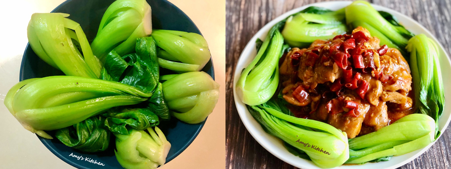 【左宗棠雞】 General Tso's Chicken