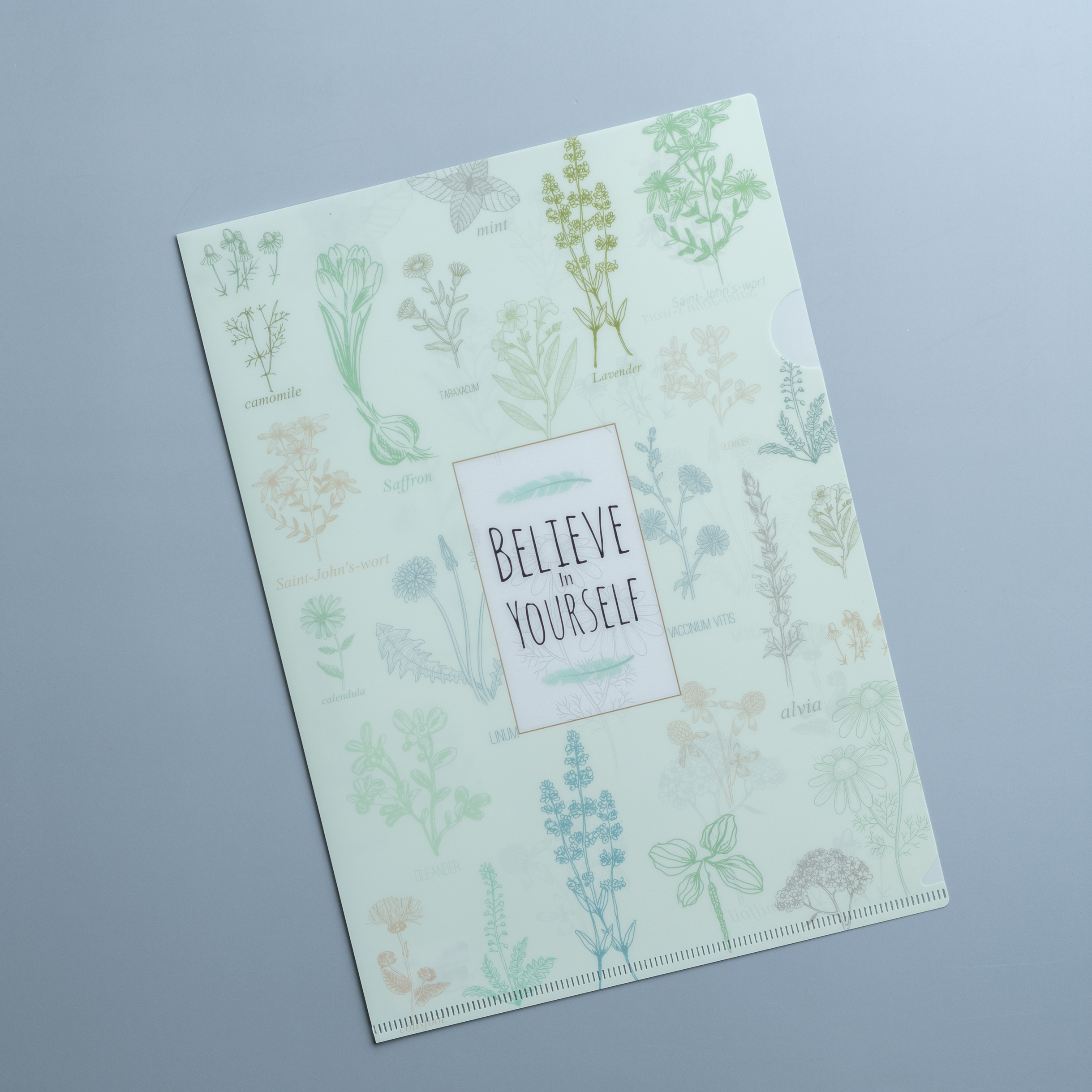 A4 file (Believe)