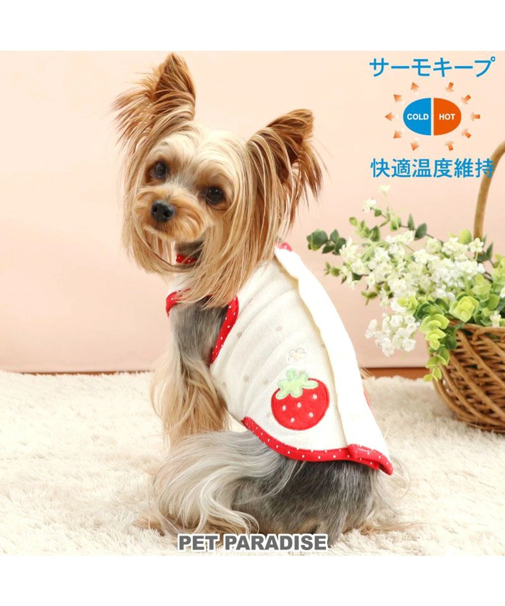 【Pet Paradise】Thermal Keep Vest - Strawberry <918-17152>
