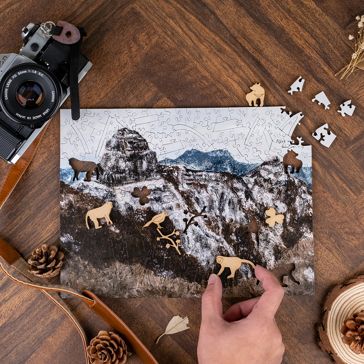 一年高山-Feb. 大霸尖山