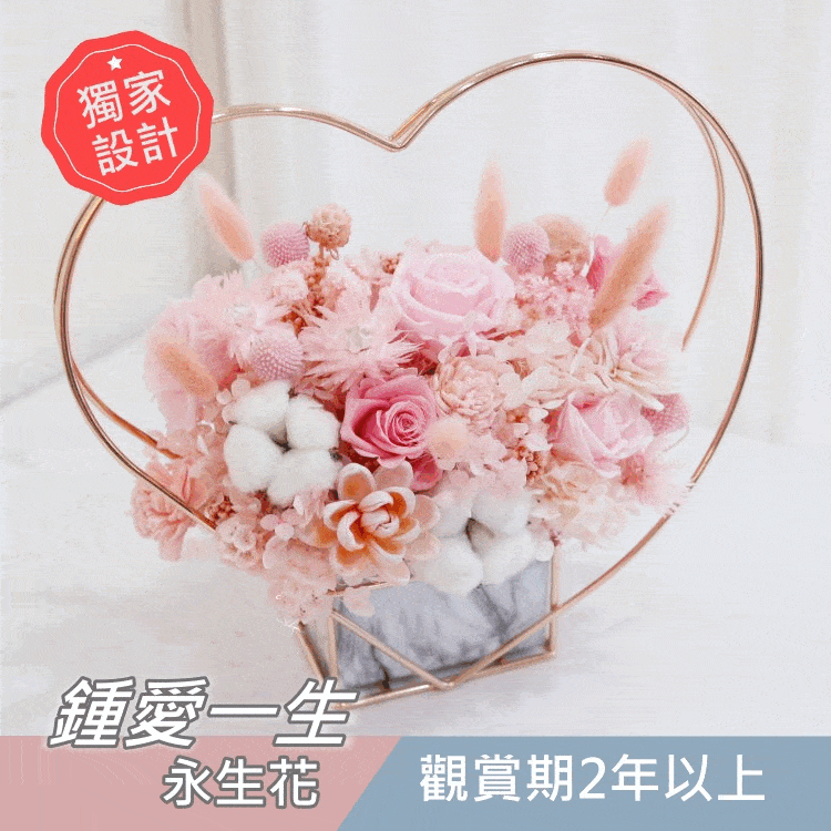 ❖獨家❖ 鍾愛一生 I 永生花 ‧ 不凋花  PF190300